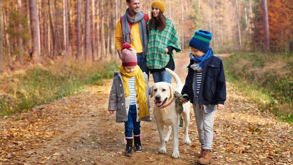 para os casais que possuem filhos, o processo precisa ir à juízo e costuma demorar mais até se concluir